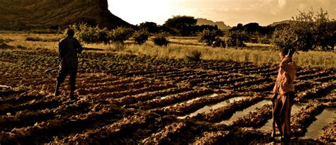 Growth overriding green in Ethiopia’s agricultural transformation ...