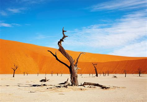 Namibia Desert Safari: Namib Desert, Karoo & Kalahari Desert Safaris