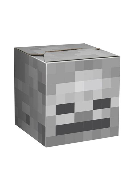 Skeleton Cardboard Head from Minecraft