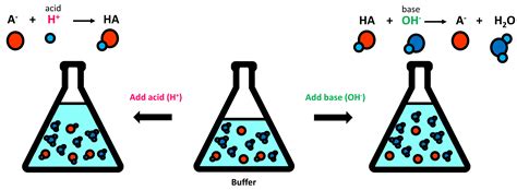 10x Protein Running Buffer Recipe | Deporecipe.co