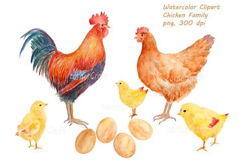 Watercolor Clipart Hand Drawn Chicken Family Rooster, Hen, Chicks and ...