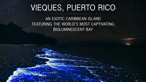 Vieques, Puerto Rico – An Exotic Caribbean Island Featuring the World’s ...