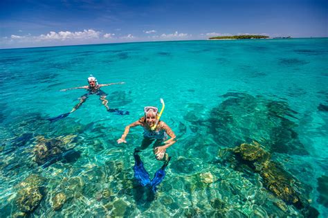 great-barrier-reef-accommodation-cairns-green-island-snorkellers ...