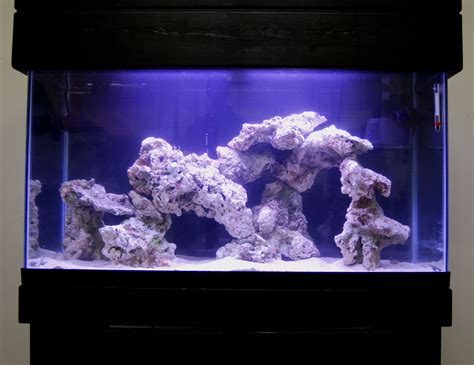 Live Rock Aquascape Designs Live Rock Set Up Idea Fish Tank For The ...