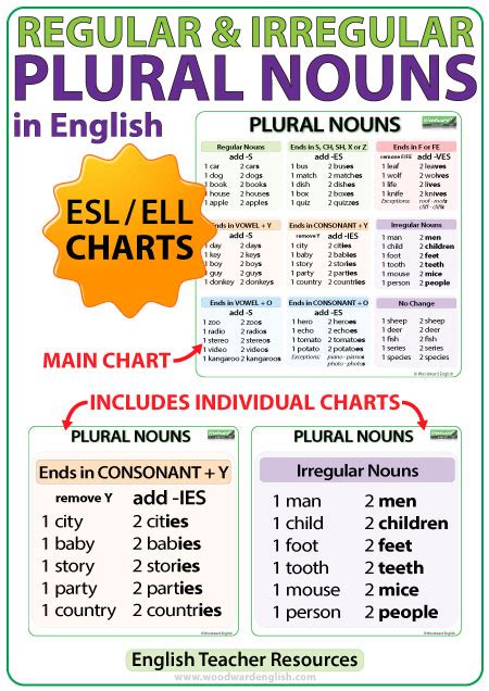 Plural Nouns Charts – Regular & Irregular Nouns in English | Woodward ...