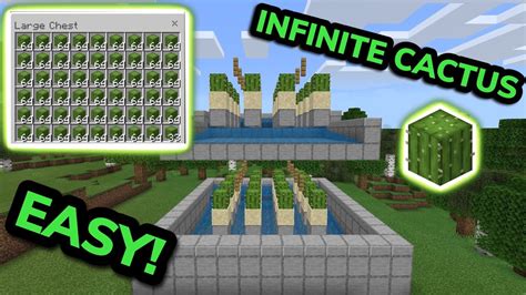 Minecraft Cactus Farm Layout