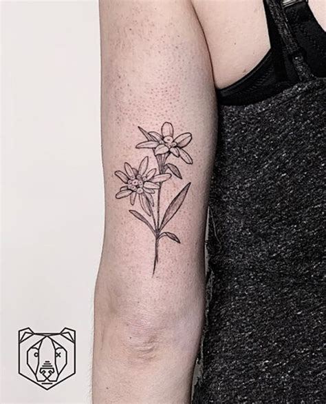 Edelweiss tattoo | Edelweiss tattoo, Tattoos, Simplistic tattoos