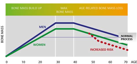 Normal Bone Density Chart By Age