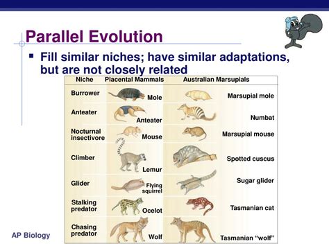 PPT - Chapter 24. PowerPoint Presentation, free download - ID:1621732