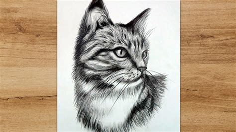 How To Draw A Realistic Cat Head