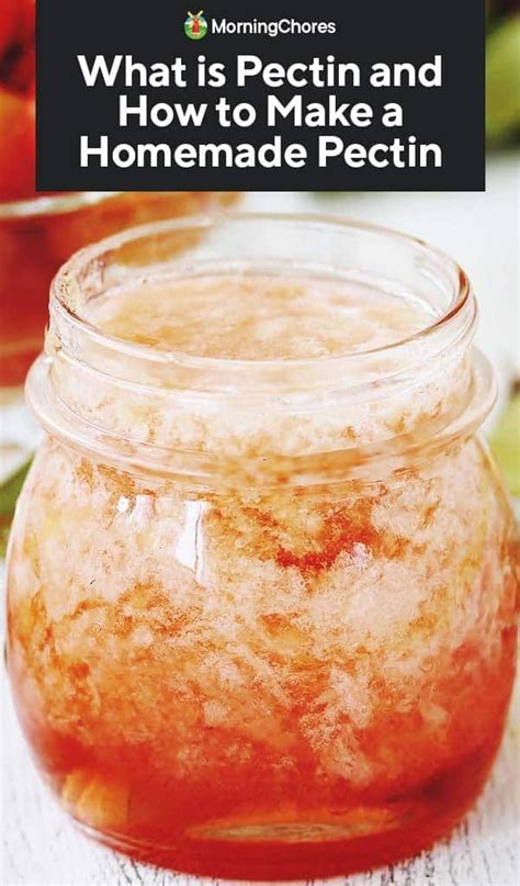 What is Pectin and How to Make a Homemade Pectin in 2020 | Pectin ...