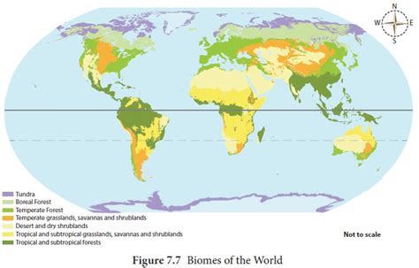 Grasslands Biome Map