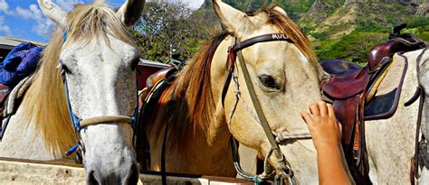 HORSEBACK RIDING AT KUALOA RANCH – WANDERLUSTYLE – Hawaii Travel ...