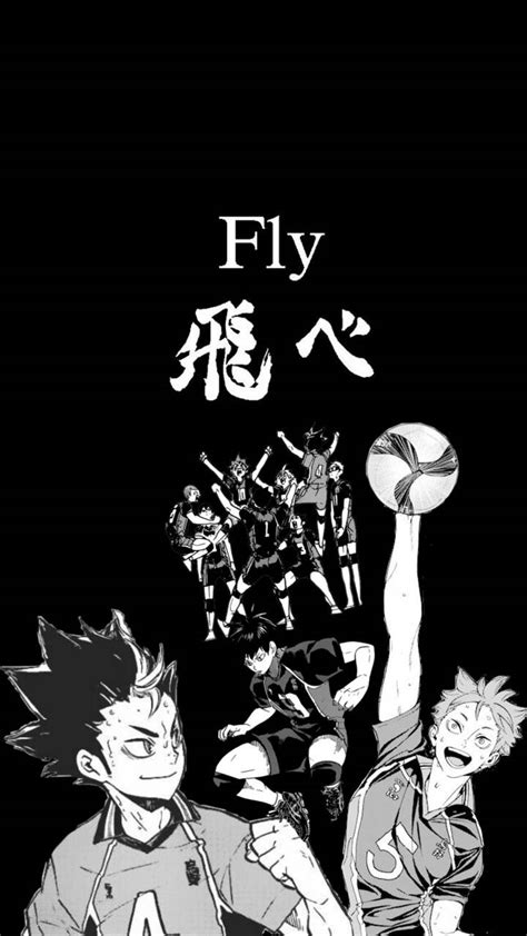 Haikyuu Fly Wallpapers - Top Free Haikyuu Fly Backgrounds - WallpaperAccess