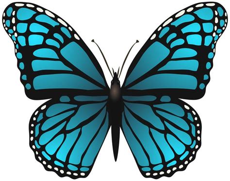 Large Blue Butterfly PNG Clip Art Image