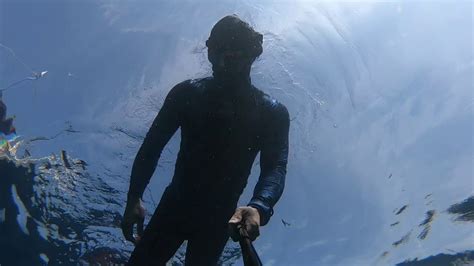 Freediving Moalboal, Panagsama beach Philippines - YouTube