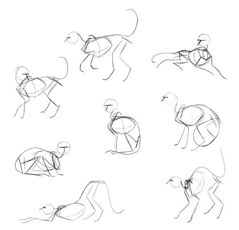 Poses Cat Anatomy Drawing - Jamie Paul Smith