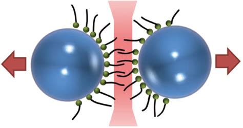 The application of a water-based polymer wetting dispersing agent in ...