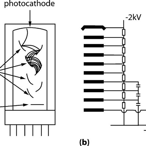 7 (a) Schematic representation of a photomultiplier tube and its ...