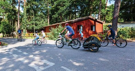 New Forest Camping Sites : Camping Holiday Parks