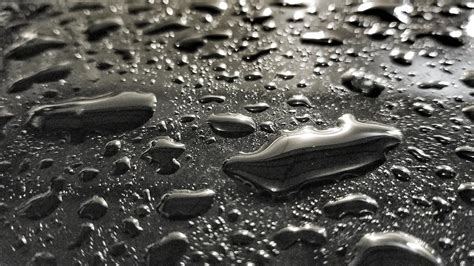 Black and White Water Drops Photograph by Bob Kinnison - Fine Art America