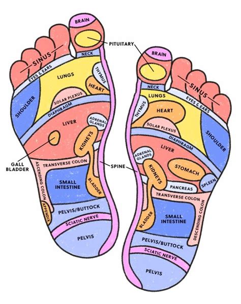 Foot Reflexology Chart: What Is It and How Do I Use It? - PureWow