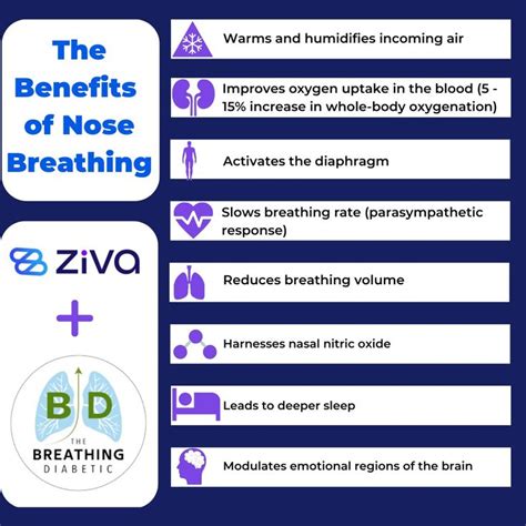 The Benefits of Nose Breathing in 2023 | Breathwork, Breathe, Emotions