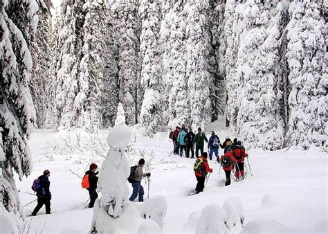 Snowshoeing in Vernon | Okanagan valley, Vernon bc, Nordic center