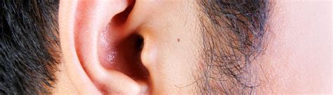 Ear diseases and disorders | healthdirect