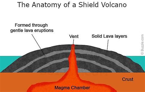 Volcán en Escudo - La forma del volcán es baja y ancha, con pendiente ...