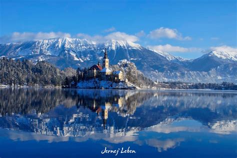 Photo Gallery: Lake Bled draped in winter white in the winter