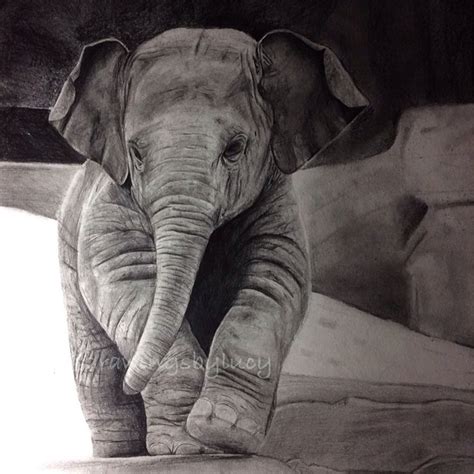 Baby elephant drawing by LucyCrt on DeviantArt