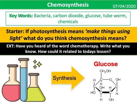 Chemosynthesis | Teaching Resources