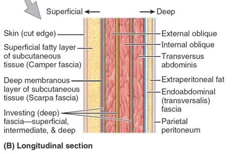 Pin on Interventional Spine