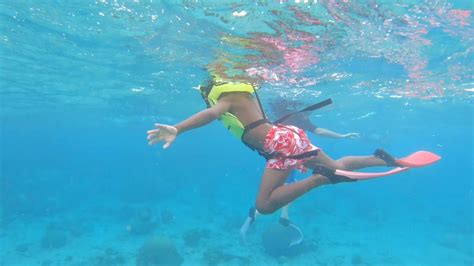 Snorkeling In St Croix US Virgin Islands https://youtu.be/eLKb5Py4HjU ...