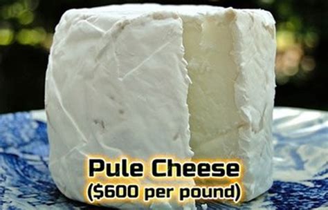 Top 16 Most Expensive Cheese In the World in 2024