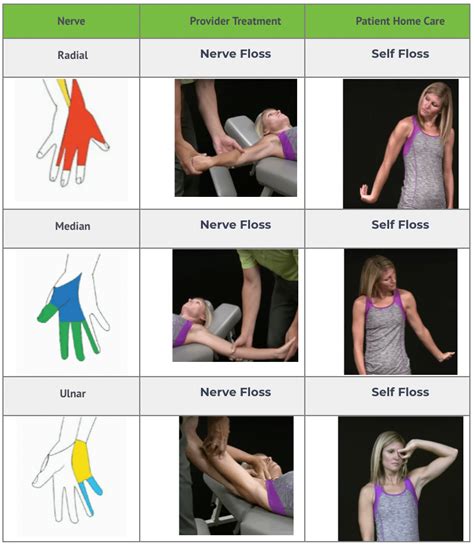 Ulnar Nerve Glides Printable