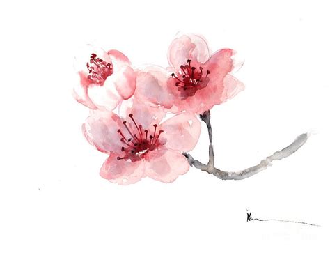 watercolor cherry blossom flower - Google Search | Art. | Pinterest ...