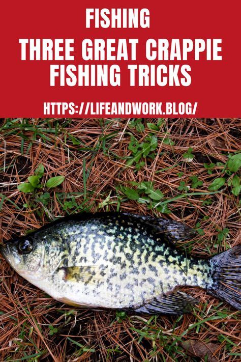 Three Great Crappie Fishing Tricks