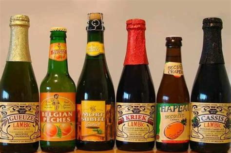 Lambic Beer Guide: History, Brewing, Taste, Food Pairings