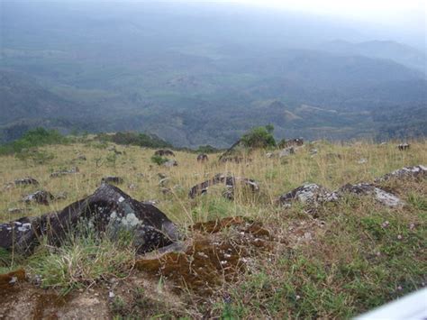 Ponmudi Hill Station (Kerala) - 2021 What to Know Before You Go (with ...