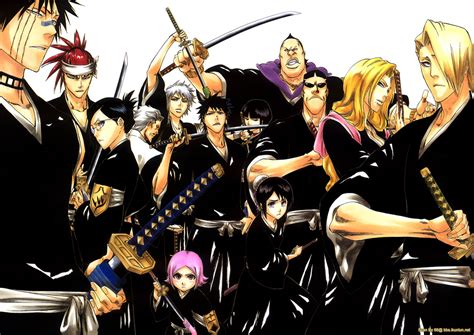 Bleach - Bleach Anime Photo (369428) - Fanpop