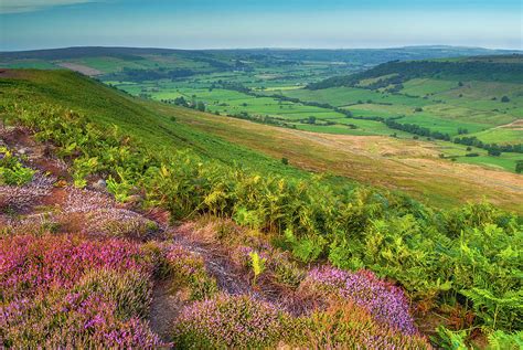 North York Moors National Park Photograph by David Ross | Pixels