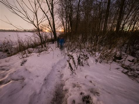 How to find a wild Hokkaido momonga flying squirrel | HokkaidoWilds.org