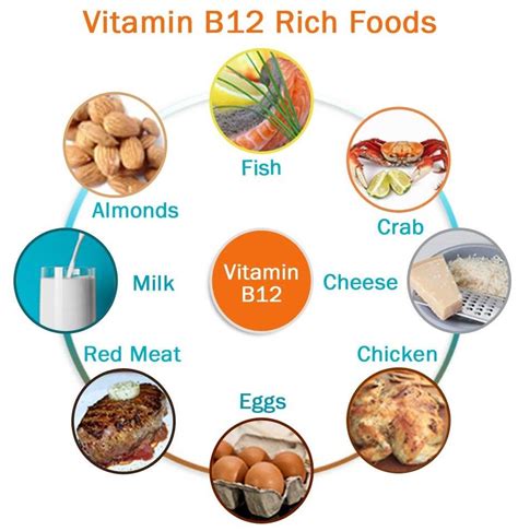 B12 Rich Foods Vegan | shockwavetherapy.education