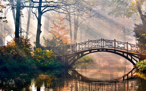 Wallpaper : 1920x1200 px, bridges, forest, landscapes, morning, nature ...