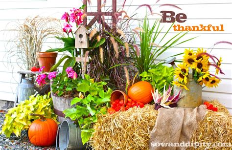 My fall display, Happy Thanksgiving! | Hometalk