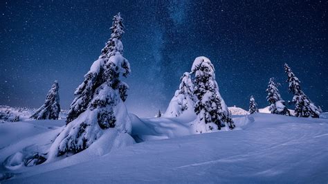 Nature Night Norway Snow Starry Sky Stars Winter HD Winter Wallpapers ...