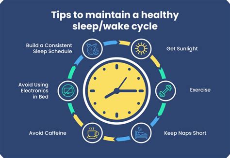 What Is Circadian Rhythm? | Sleep Foundation