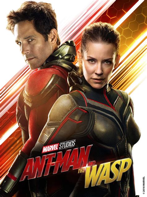 Ant Man And The Wasp Subtitle / Ant Man and the Wasp : ディズニー・マーベルの最新作 ...